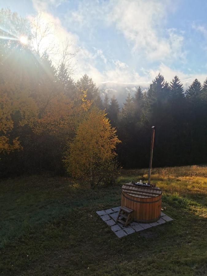 Das Koralpenchalet...Sonne, Wald, Natur! Trahutten Kültér fotó
